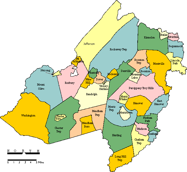 Morris County pest control service area